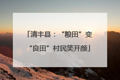 清丰县：“粮田”变“良田”村民笑开颜