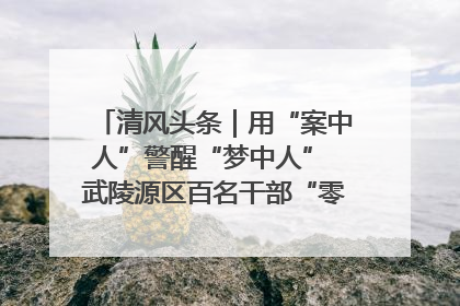 清风头条｜用“案中人”警醒“梦中人” 武陵源区百名干部“零距离”接受警示教育