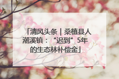 清风头条｜桑植县人潮溪镇：“迟到”5年的生态林补偿金