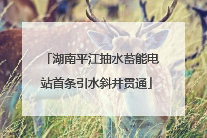 湖南平江抽水蓄能电站首条引水斜井贯通