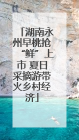 湖南永州早桃抢“鲜”上市 夏日采摘游带火乡村经济