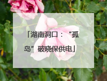 湖南洞口：“孤岛”破晓保供电