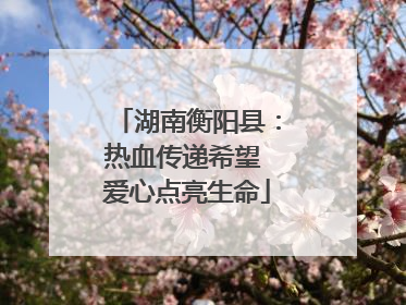 湖南衡阳县：热血传递希望 爱心点亮生命