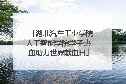 湖北汽车工业学院人工智能学院学子热血助力世界献血日