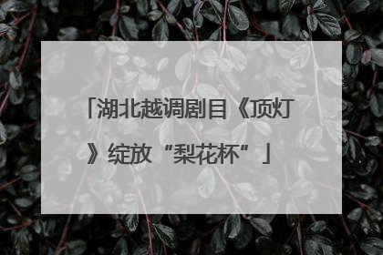 湖北越调剧目《顶灯》绽放“梨花杯”
