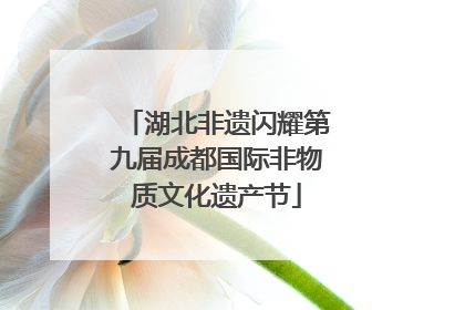 湖北非遗闪耀第九届成都国际非物质文化遗产节