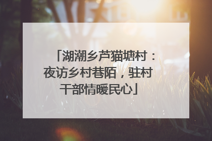 湖潮乡芦猫塘村：夜访乡村巷陌，驻村干部情暖民心