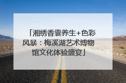湘绣香囊养生+色彩风暴：梅溪湖艺术博物馆文化体验盛宴