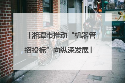 湘潭市推动“机器管招投标”向纵深发展