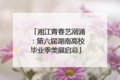 湘江青春艺潮涌：第六届湖南高校毕业季美展启幕