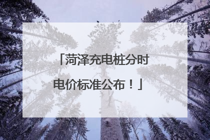 菏泽充电桩分时电价标准公布！