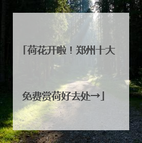 荷花开啦！郑州十大免费赏荷好去处→