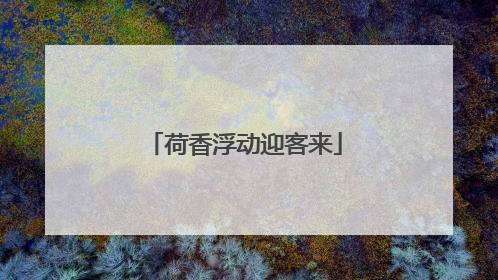荷香浮动迎客来