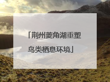 荆州菱角湖重塑鸟类栖息环境