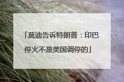 莫迪告诉特朗普：印巴停火不是美国调停的