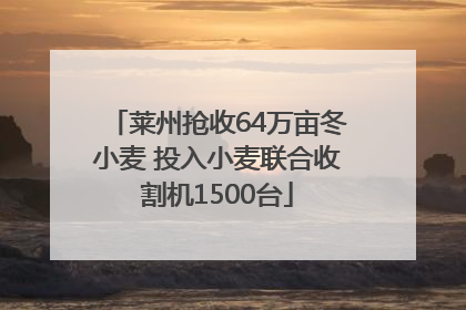 莱州抢收64万亩冬小麦 投入小麦联合收割机1500台