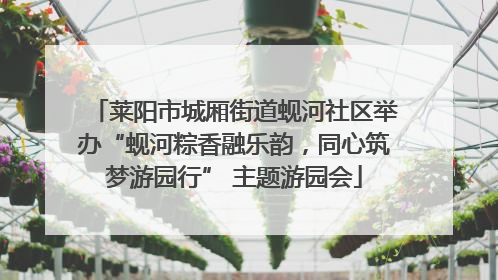 莱阳市城厢街道蚬河社区举办“蚬河粽香融乐韵，同心筑梦游园行” 主题游园会