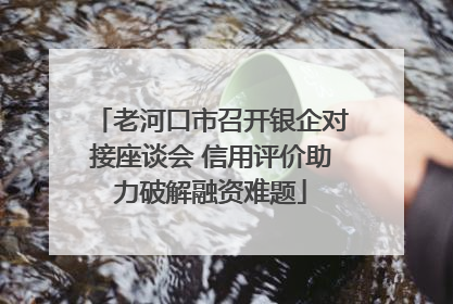 老河口市召开银企对接座谈会 信用评价助力破解融资难题
