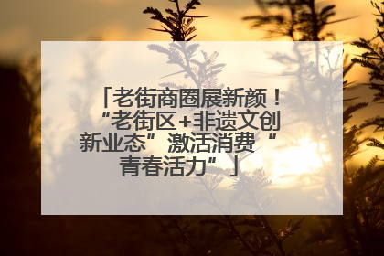 老街商圈展新颜！“老街区+非遗文创新业态”激活消费“青春活力”