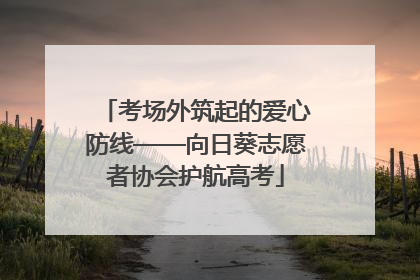 考场外筑起的爱心防线——向日葵志愿者协会护航高考