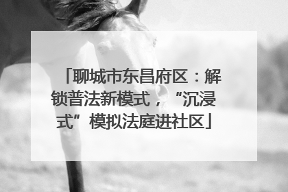 聊城市东昌府区：解锁普法新模式，“沉浸式”模拟法庭进社区