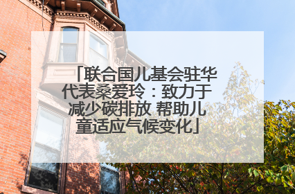 联合国儿基会驻华代表桑爱玲：致力于减少碳排放 帮助儿童适应气候变化