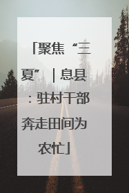 聚焦“三夏”｜息县：驻村干部奔走田间为农忙