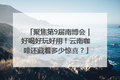 聚焦第9届南博会｜好喝好玩好用！云南咖啡还藏着多少惊喜？