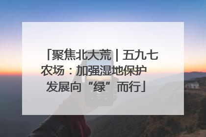 聚焦北大荒｜五九七农场：加强湿地保护 发展向“绿”而行