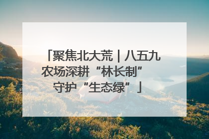 聚焦北大荒｜八五九农场深耕“林长制” 守护“生态绿”