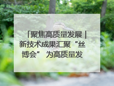 聚焦高质量发展｜新技术成果汇聚“丝博会” 为高质量发展注入新动能