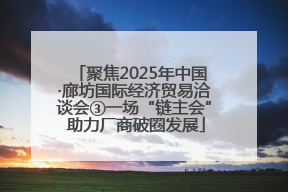 聚焦2025年中国·廊坊国际经济贸易洽谈会③一场“链主会” 助力厂商破圈发展