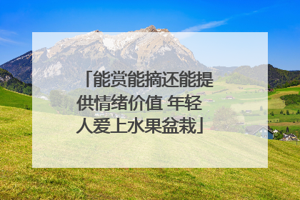 能赏能摘还能提供情绪价值 年轻人爱上水果盆栽