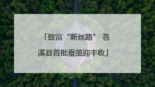 致富“新丝路” 苍溪县首批蚕茧迎丰收