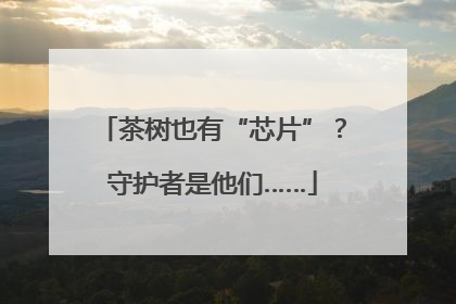 茶树也有“芯片”？守护者是他们……