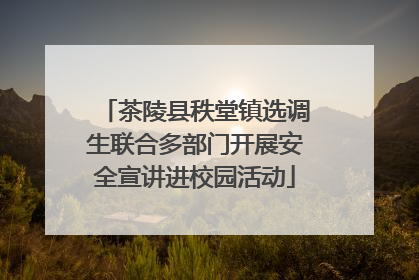 茶陵县秩堂镇选调生联合多部门开展安全宣讲进校园活动
