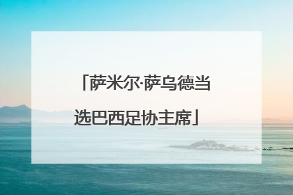 萨米尔·萨乌德当选巴西足协主席