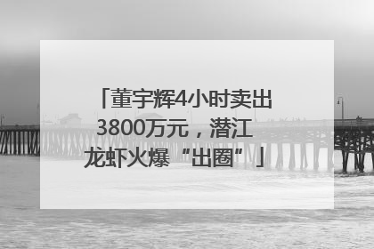 董宇辉4小时卖出3800万元，潜江龙虾火爆“出圈”