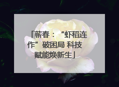 蕲春：“虾稻连作”破困局 科技赋能焕新生