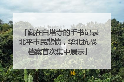 藏在白塔寺的手书记录北平市民悲愤，华北抗战档案首次集中展示