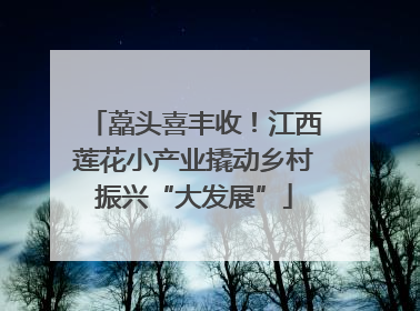 藠头喜丰收！江西莲花小产业撬动乡村振兴“大发展”