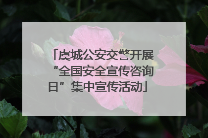 虞城公安交警开展“全国安全宣传咨询日”集中宣传活动