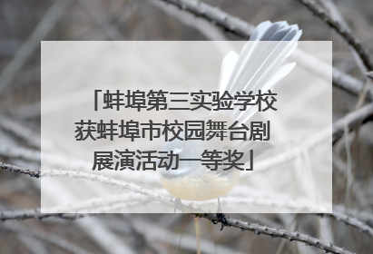 蚌埠第三实验学校获蚌埠市校园舞台剧展演活动一等奖