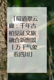 蜀道翠云廊：千年古柏见证文旅融合新图景丨万千气象看四川