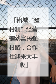 诸城“整村制”经营铺就富民强村路，合作社迎来大丰收