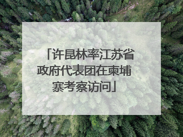 许昆林率江苏省政府代表团在柬埔寨考察访问