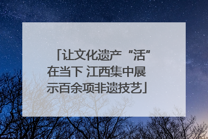 让文化遗产“活”在当下 江西集中展示百余项非遗技艺