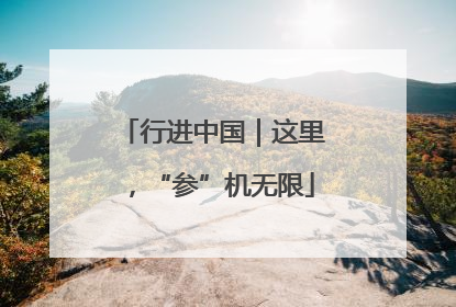 行进中国｜这里，“参”机无限