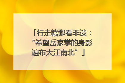 行走赣鄱看非遗：“希望岳家拳的身影遍布大江南北”