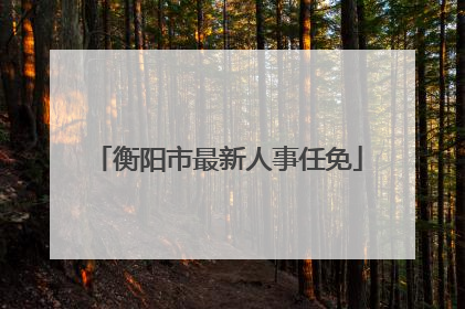 衡阳市最新人事任免